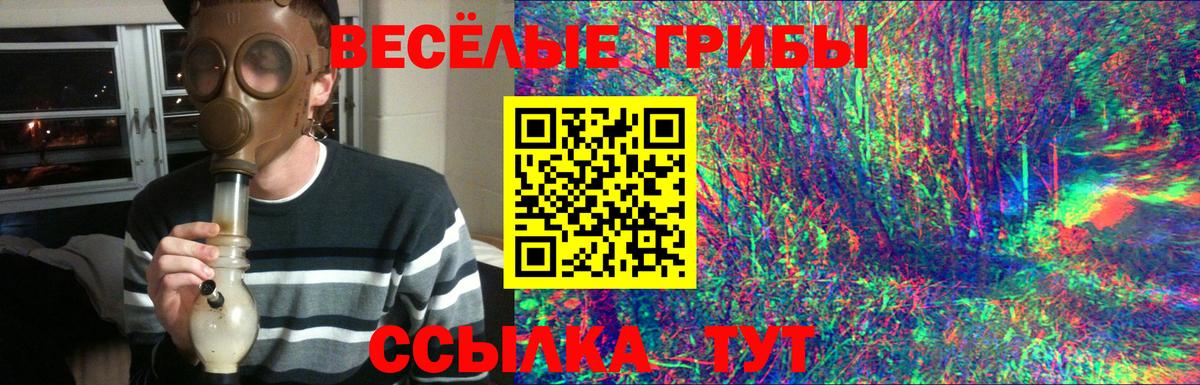 Псилоцибиновые грибы Magic Shrooms  сколько стоит  Полысаево  Вход с VPN 